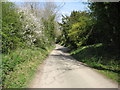 The lane from Middle to Upper Hambleton