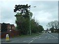 Taunton Road, Bridgwater (A38)