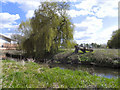 River Sow, Riverway Meadow