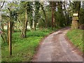 Access road to Cathanger Farm