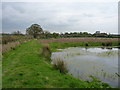 Pond and footpath at Allesley