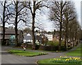 Houses in Main Street viewed from the grounds of St Malachy