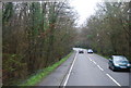 A267 through Chase Wood