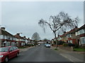 Looking west in Broomfield Avenue