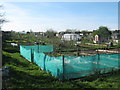 Chilton Allotments