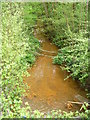Polluted Stream by North Camp