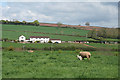 Cullompton: towards Ponsford Lane