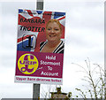 Election poster, Scarva