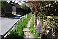 Raised path by Long Wittenham Road