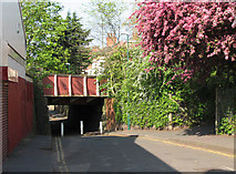 SK5539 : Lenton: Sherwin Road railway bridge in spring by John Sutton