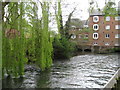 Mill, Winchester