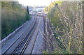 Railway line south of Micheldever station