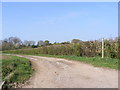 TM3361 : Footpath to Church Farm by Geographer