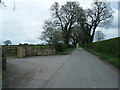 Lane at entrance to Preston Hall Farm