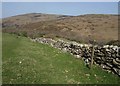 Bridleway to Dartmeet