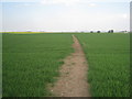 Footpath to North Kelsey