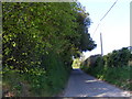TM3463 : Grange Road,Sweffling by Geographer