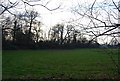 Countryside south of Mote End Farm