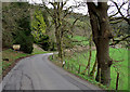 The road to Rhandirmwyn, Carmarthenshire