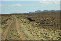 NC7619 : Moorland track running along Strath Skinsdale by George Brown