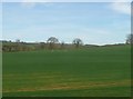 Countryside near Trent