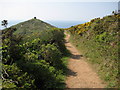 SX4248 : Coast path approaching Rame Head by Philip Halling