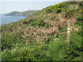 SX4348 : Coast path west of Penlee Point by Philip Halling