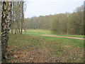 Ashridge Golf Course - the fifth hole