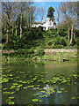 Lily Pond at St Leonard