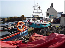 NT9167 : Coastal Berwickshire : Red, White and Blue at St Abbs Harbour by Richard West