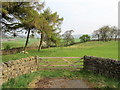 Gate to Pasture opposite Ellenber Farm