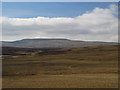NY7534 : Moorland around the River Tees by Mike Quinn