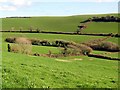 The Washabrook Valley