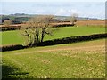 Farmland near Selcombe