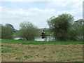 Pond on Warren Park Farm, Alderholt