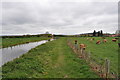 Chesterfield Canal - West of Ranby