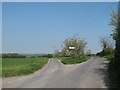 Lane junction near Little Betteshanger