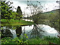 Lake at Llanllawddog - looking west