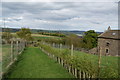 Footpath past Gillbeck Farm