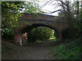 Bridge over the footpath