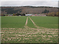 Newly sown field, south of Elliothead