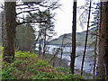 NG3825 : Towards Loch Eynort from the forest by Richard Dorrell