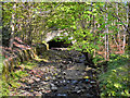 Astley Brook, Temple Bridge