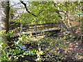 Wooden Bridge over Dean Brook