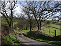 Lane towards Llandovery, Carmarthenshire