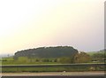 Copse beside A74 Millhousebridge