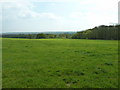 View south from the border between Surrey and Sussex