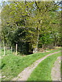 Footpath into the woods - Honeypot Coppice