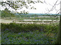 Clay pits and Rudgwick Brickworks