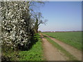 Track near Grantchester